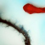 Stubborn Heart - Stubborn Heart Deluxe Edition