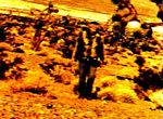plan 9 desert